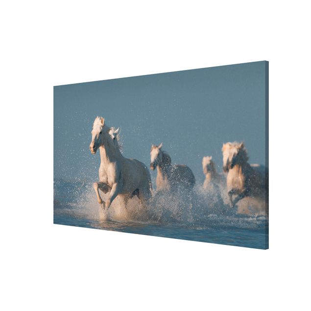 quadros decorativos para sala modernos Herd Of White Horses