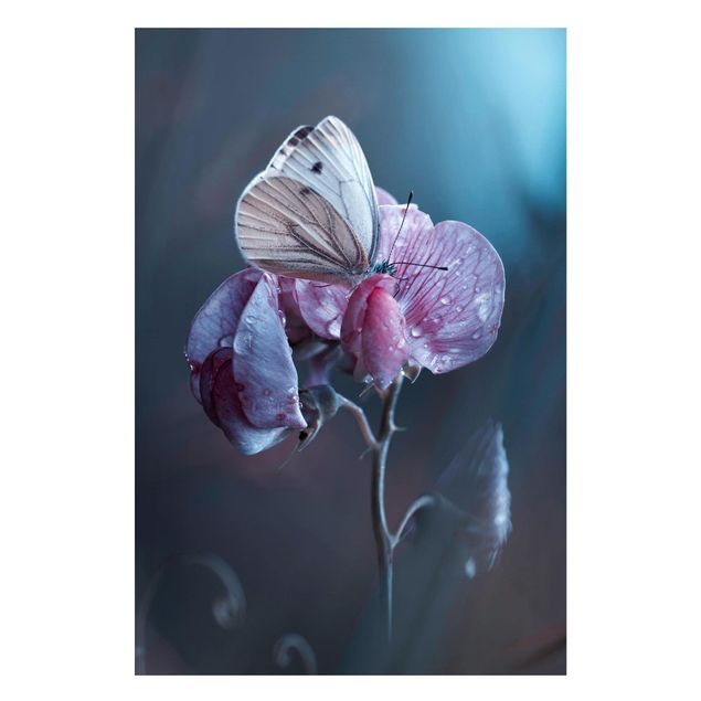 quadro de borboletas Butterfly In The Rain