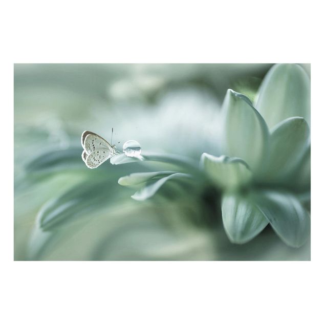 quadro de borboletas Butterfly And Dew Drops In Pastel Green