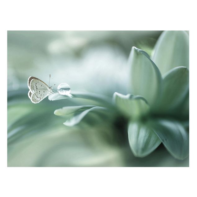 quadro de borboletas Butterfly And Dew Drops In Pastel Green