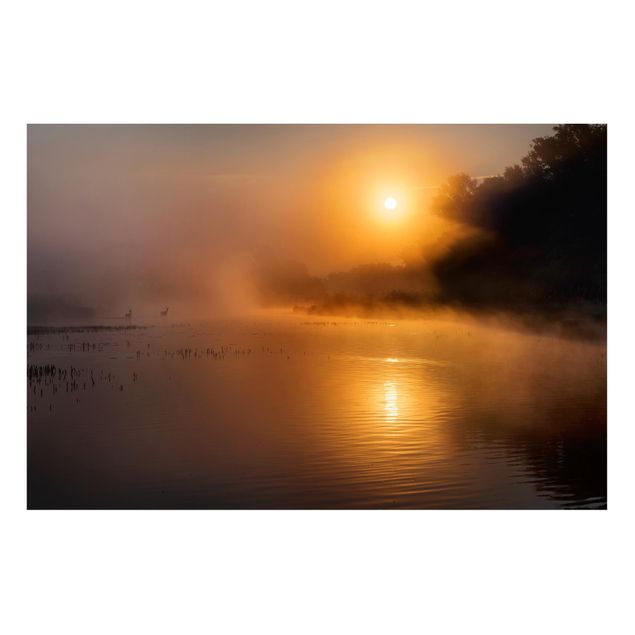 quadros de paisagens Sunrise on the lake with deers in the fog