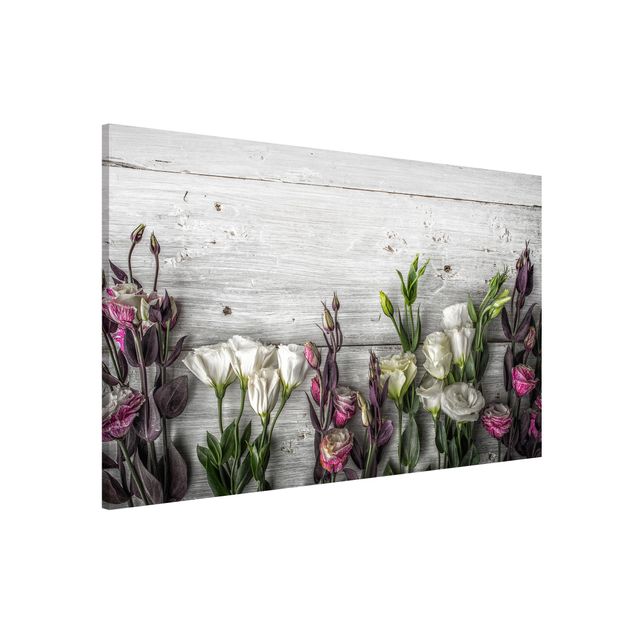 quadros de flores Tulip Rose Shabby Wood Look