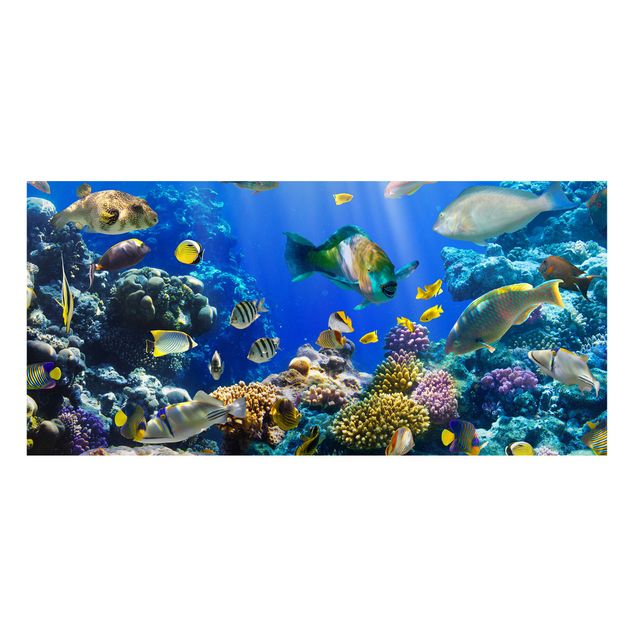 Quadros paisagens Underwater Reef