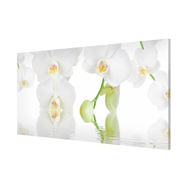 Quadros magnéticos flores Spa Orchid - White Orchid