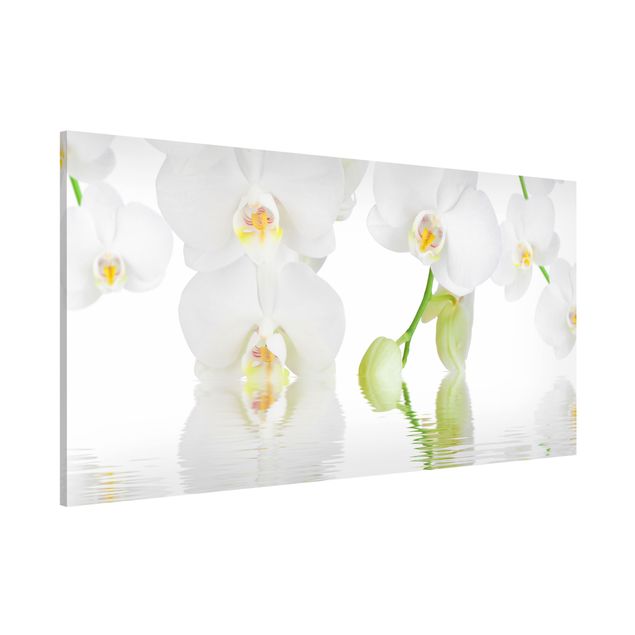 Quadros orquídeas Spa Orchid - White Orchid