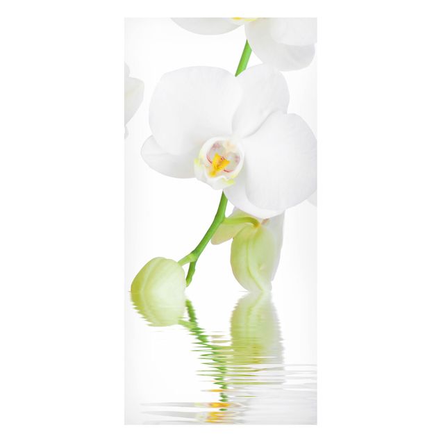 decoraçao para parede de cozinha Spa Orchid - White Orchid