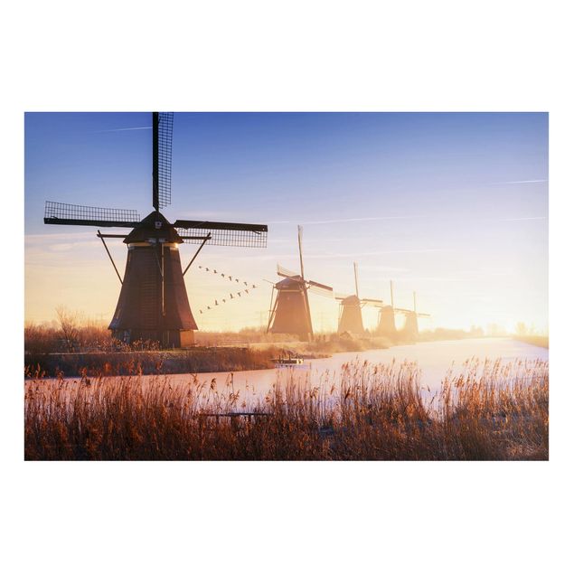 Quadros natureza Windmills Of Kinderdijk