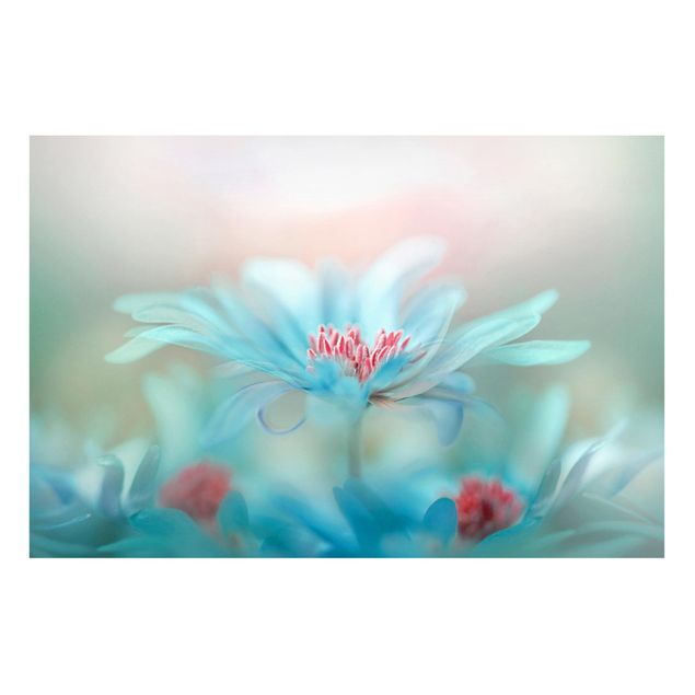 Quadros magnéticos flores Delicate Flowers In Pastel