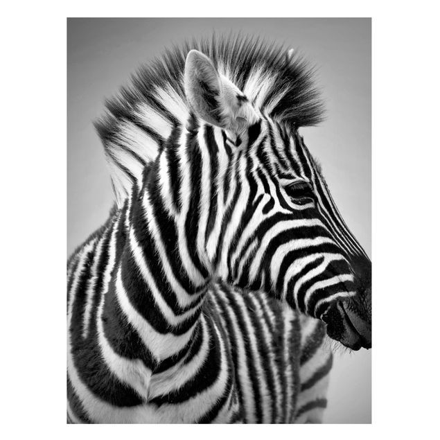 Quadros zebras Zebra Baby Portrait II