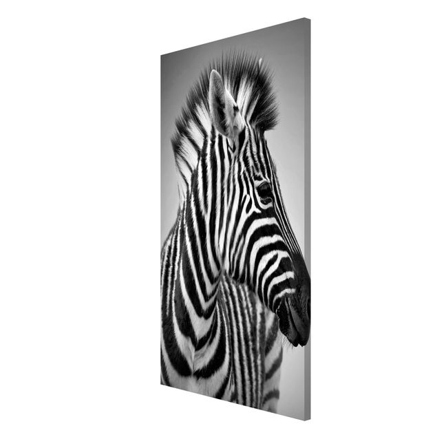 Quadros magnéticos animais Zebra Baby Portrait II