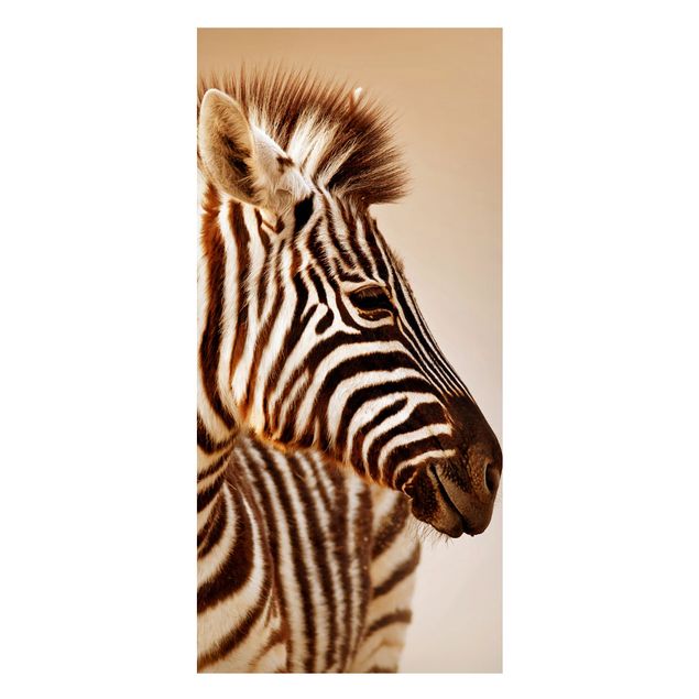 Quadros zebras Zebra Baby Portrait
