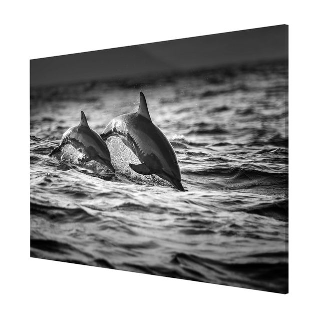 Quadros magnéticos animais Two Jumping Dolphins