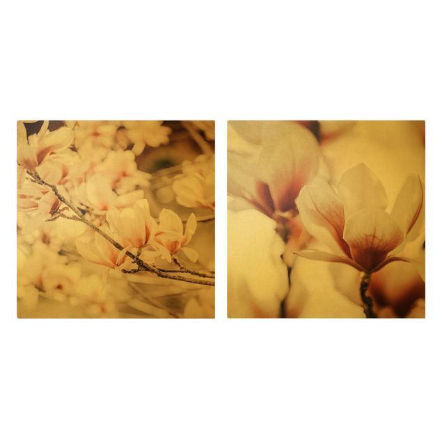 Telas decorativas Magnolia Flower Set