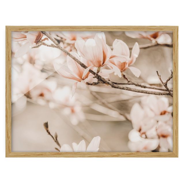 Quadros com moldura paisagens Magnolia Twig Vintage Style