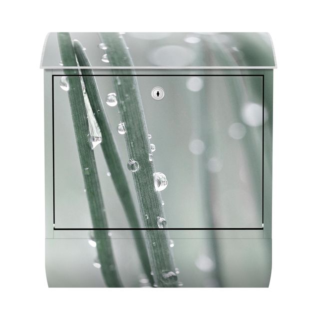 caixa correio verde Macro Image Beads Of Water On Grass