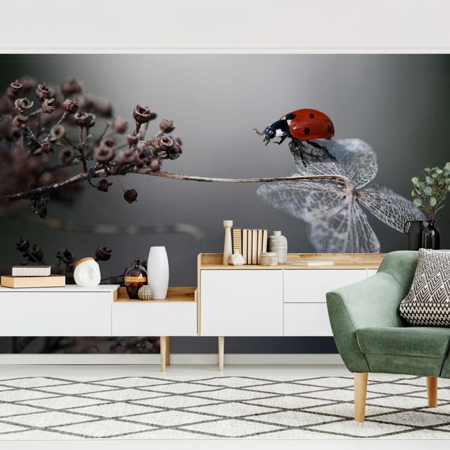 papel de parede moderno Ladybird On Hydrangea