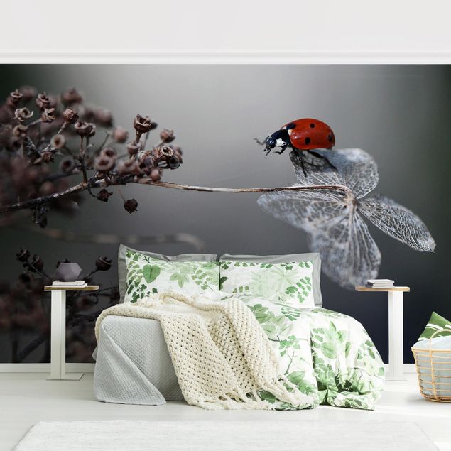 Papel de parede com flores Ladybird On Hydrangea