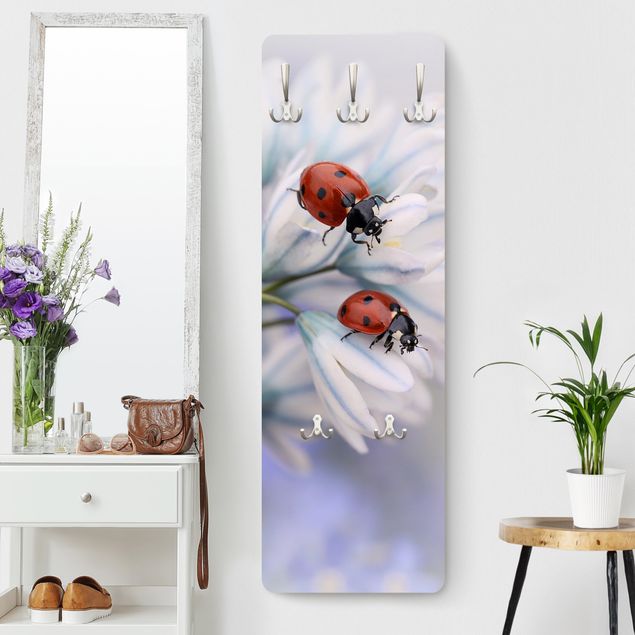 Cabides de parede flores Ladybird Couple
