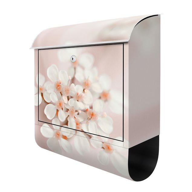 Caixas de correio em bege Mini Flowers In Pink Light