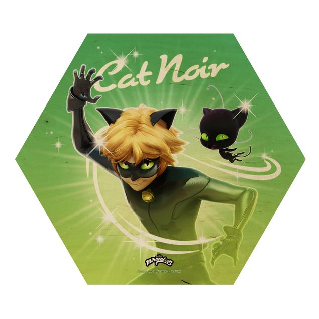 quadro decorativo verde Miraculous Cat Noir And Plagg