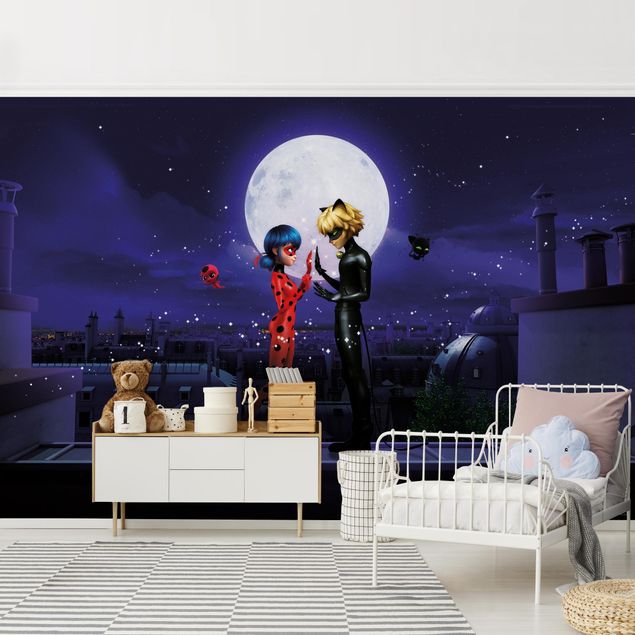 Papel de parede Paris Miraculous Ladybug And Cat Noir In The Moonlight