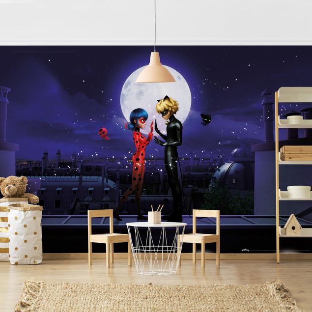 papel de parede para quarto de casal moderno Miraculous Ladybug And Cat Noir In The Moonlight