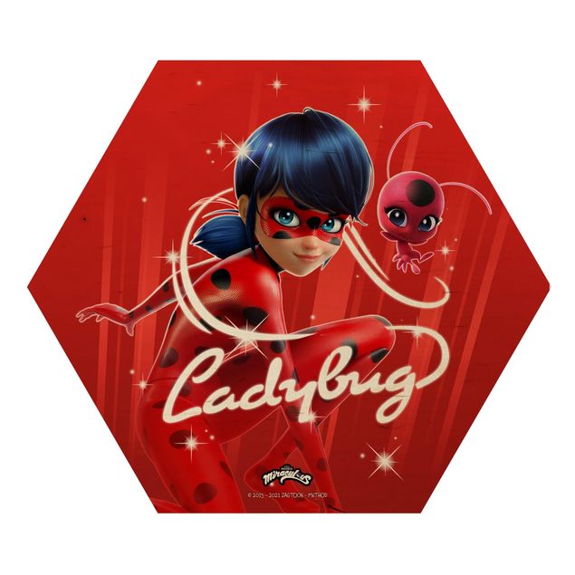 decoração quadros Miraculous Ladybug And Trixx