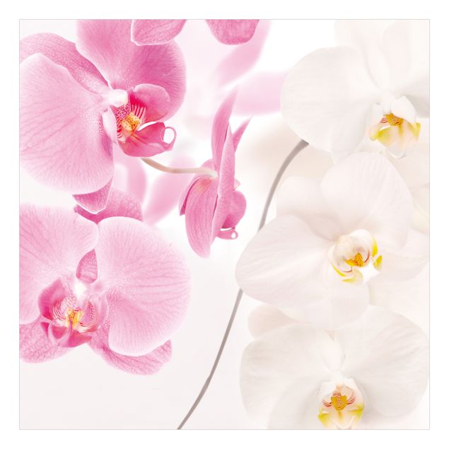 papel adesivo para móveis Delicate Orchids