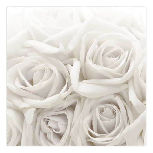 vinil autocolante para móveis White Roses