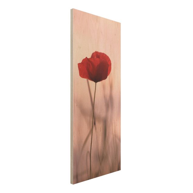 decoraçao para parede de cozinha Poppy Flower In Twilight