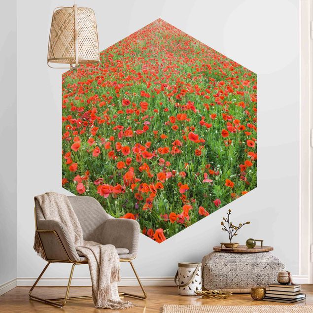 papel de parede floral Poppy Field