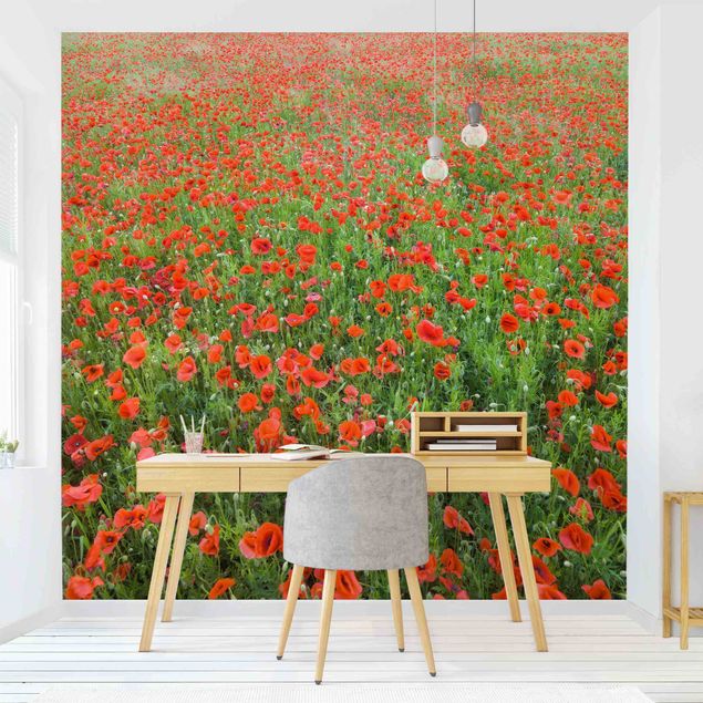 papel de parede floral Poppy Field
