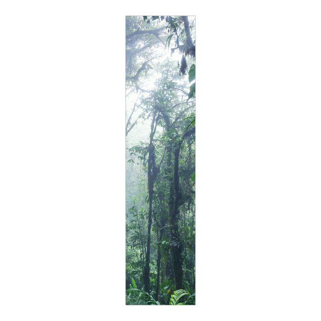 Matteo Colombo Bilder Monteverde Cloud Forest