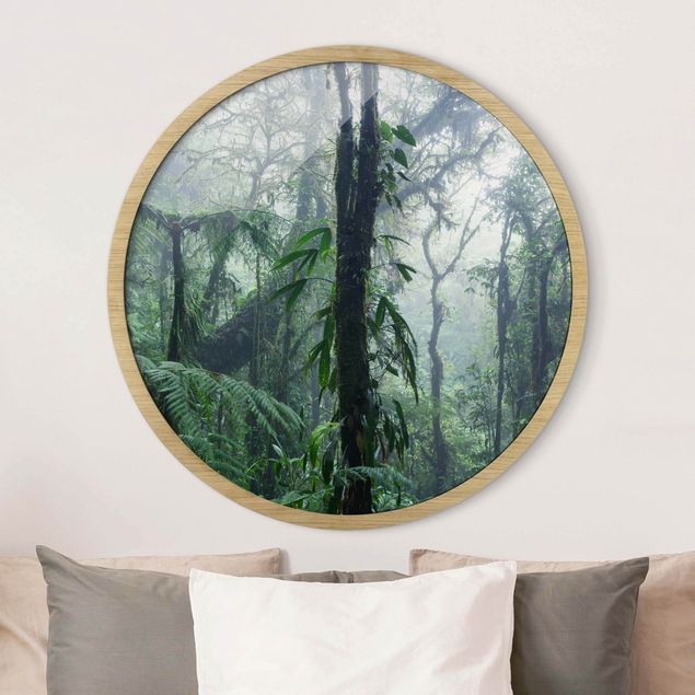 quadro com árvore Monteverde Cloud Forest
