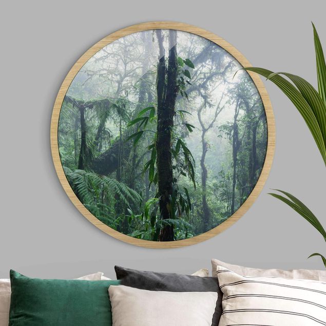 quadro com paisagens Monteverde Cloud Forest