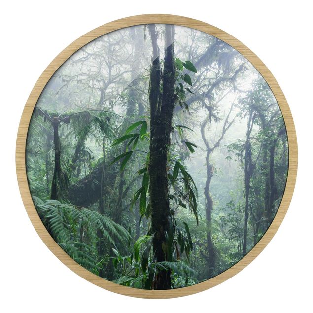 Quadros redondos Monteverde Cloud Forest