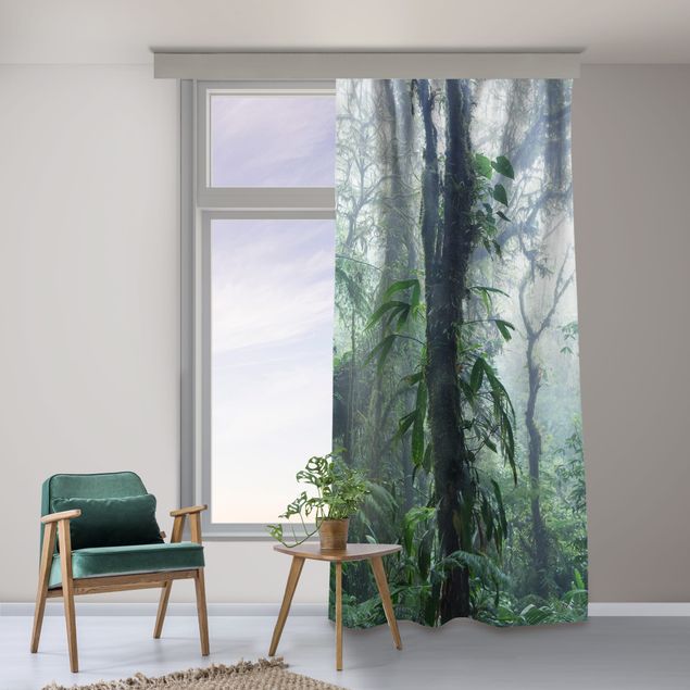 cortinados modernos Monteverde Cloud Forest