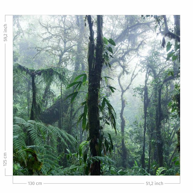 cortinas à medida Monteverde Cloud Forest