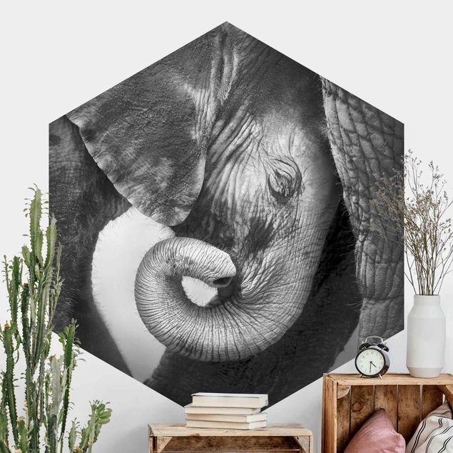 Papel de parede elefantes Mother's Love