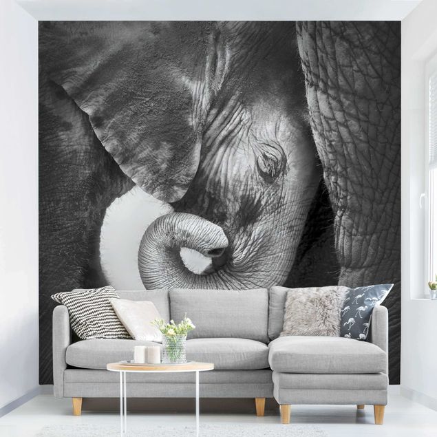 Papel de parede elefantes Mother's Love