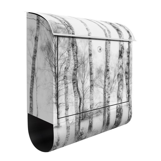 Caixas de correio em preto e branco Mystic Birch Forest Black And White