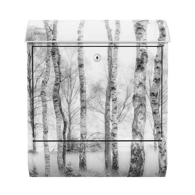 Caixas de correio paisagens Mystic Birch Forest Black And White