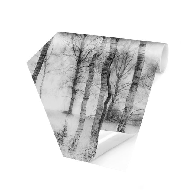 papel parede bege Mystic Birch Forest Black And White
