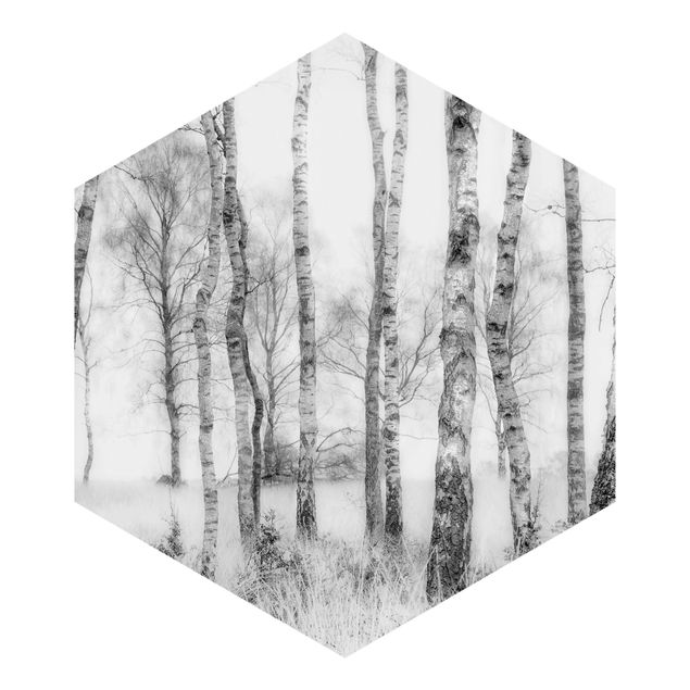 murais de parede Mystic Birch Forest Black And White