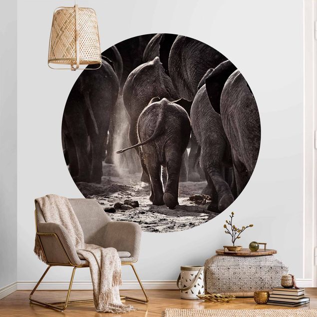 Papel de parede elefantes Going Home