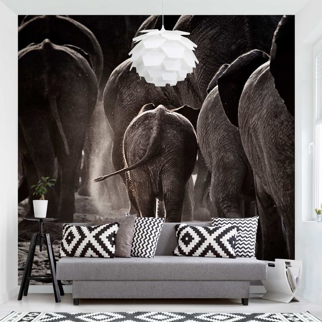 Papel de parede elefantes Going Home