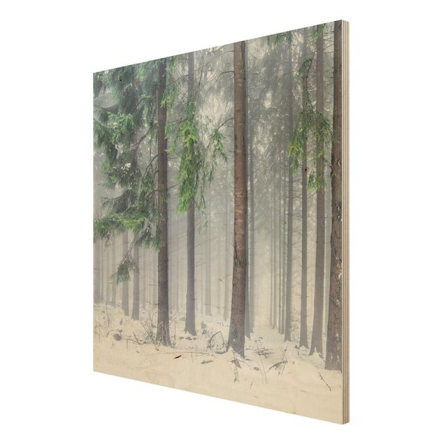 Quadros em madeira paisagens Conifers In Winter