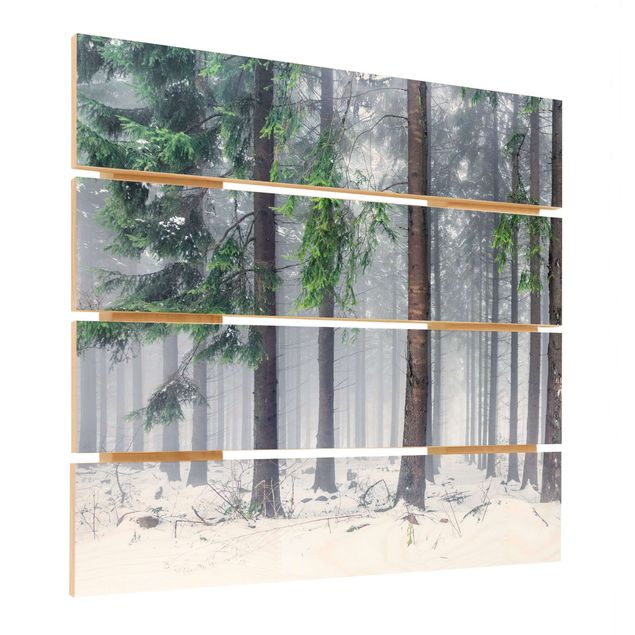 quadros em madeira para decoração Conifers In Winter