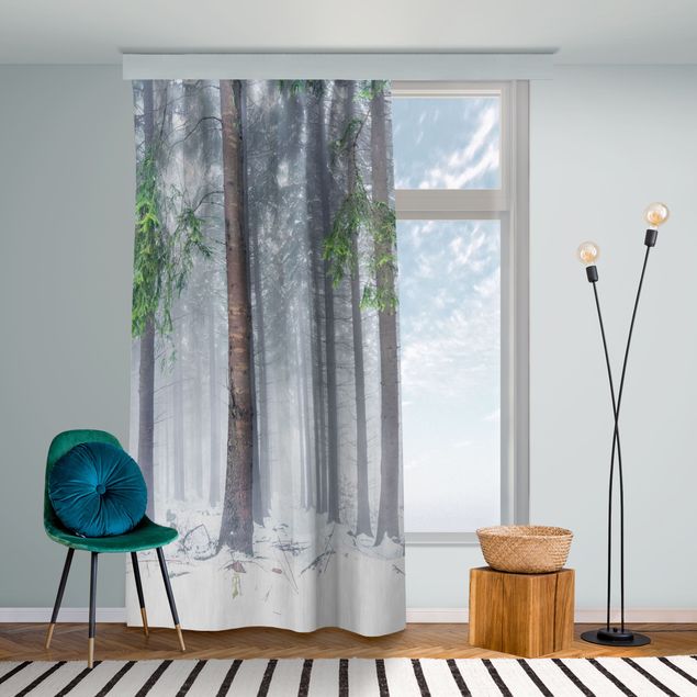 cortinas opacas Conifers In Winter