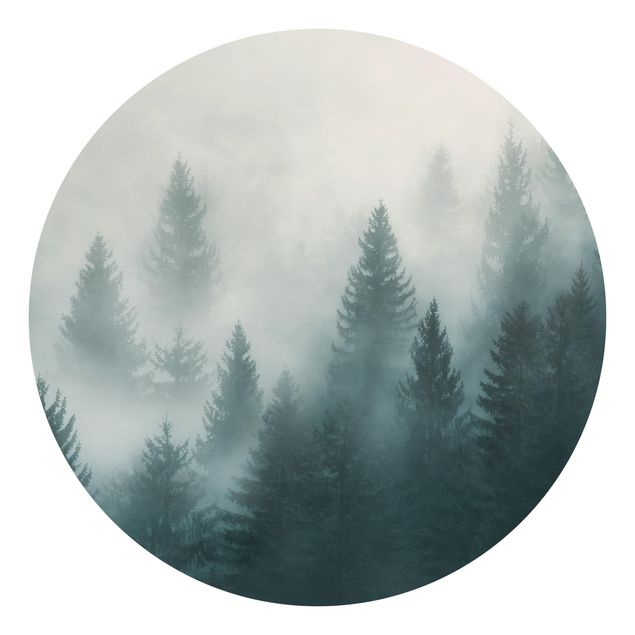 Papel de parede paisagens Coniferous Forest In Fog
